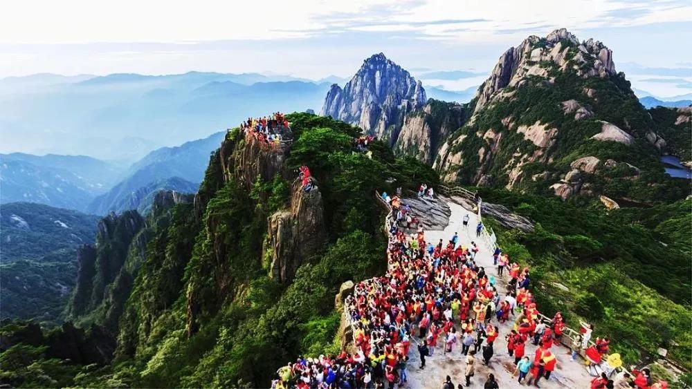 1636011008230.jpg 493.jpg