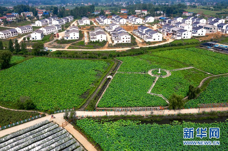 1636011803957.png 522.png